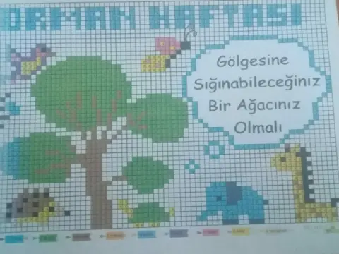 Ömer Haluk Özuçak İlkokulu - Robotik Kodlama