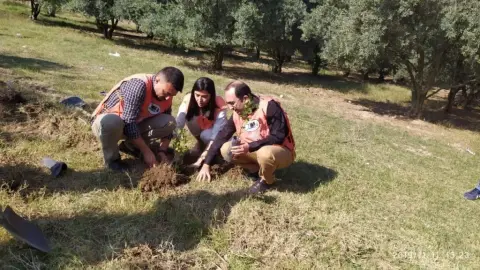 Pekmezci Şehit Bircan İlhanlı Ortaokulu - OKULUMUZ VE TEMA