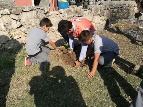 Pekmezci Şehit Bircan İlhanlı Ortaokulu - OKULUMUZ VE TEMA