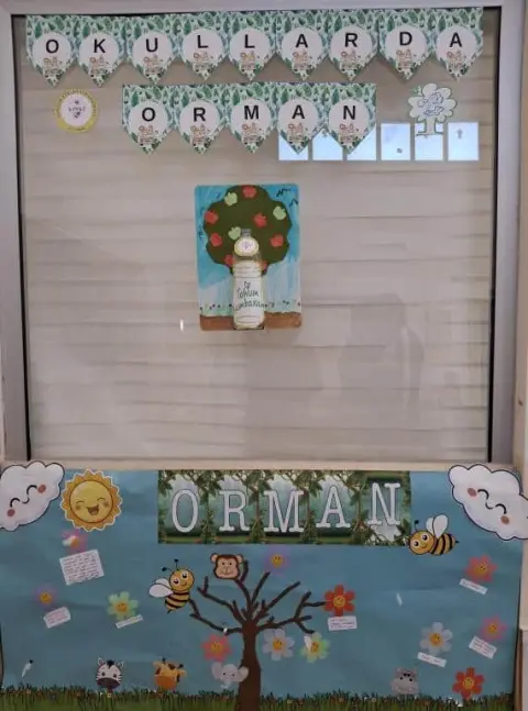 Sarıçam Özel Eğitim Anaokulu - Okullarda Orman Panolar
