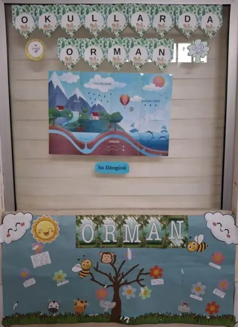 Sarıçam Özel Eğitim Anaokulu - Okullarda Orman Panolar
