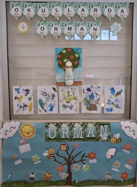 Sarıçam Özel Eğitim Anaokulu - Okullarda Orman Panolar