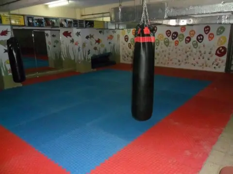 Şehit İdris Güler Ortaokulu - SPOR SALONUMUZ