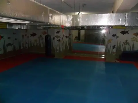 Şehit İdris Güler Ortaokulu - SPOR SALONUMUZ
