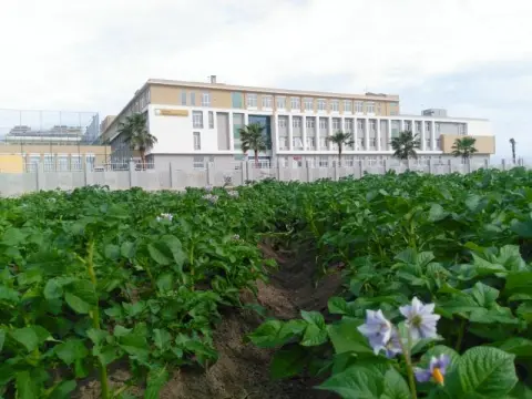 Şehitlik Anadolu İmam Hatip Lisesi - Yeni Binamızdan Kareler