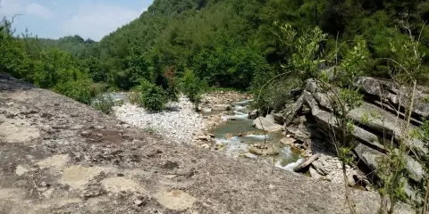 Şehit Nihat Şener Ortaokulu - 27.06.2019 seminer etkinliği doğa yürüyüşü
