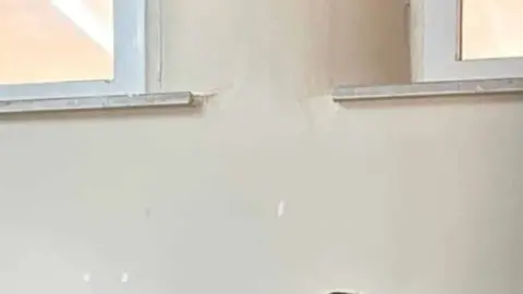 Şehit Selami Akça imam Hatip Ortaokulu - Albüm