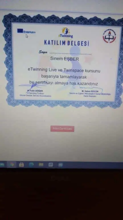 Şehit Temel Cingöz Anadolu Lisesi - eTwinning