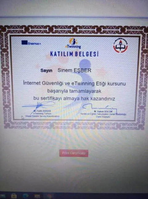 Şehit Temel Cingöz Anadolu Lisesi - eTwinning
