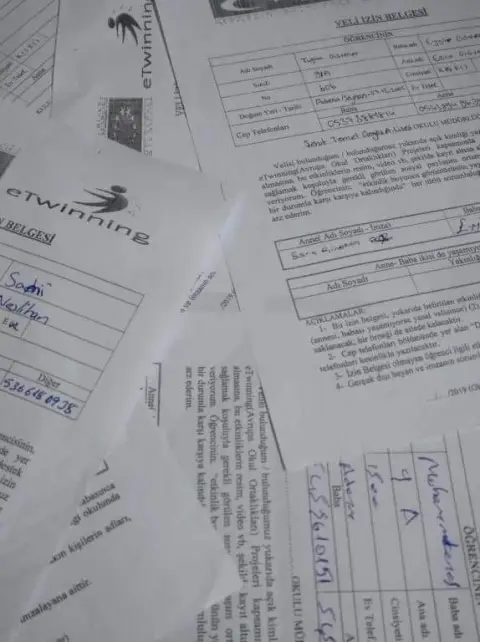 Şehit Temel Cingöz Anadolu Lisesi - eTwinning
