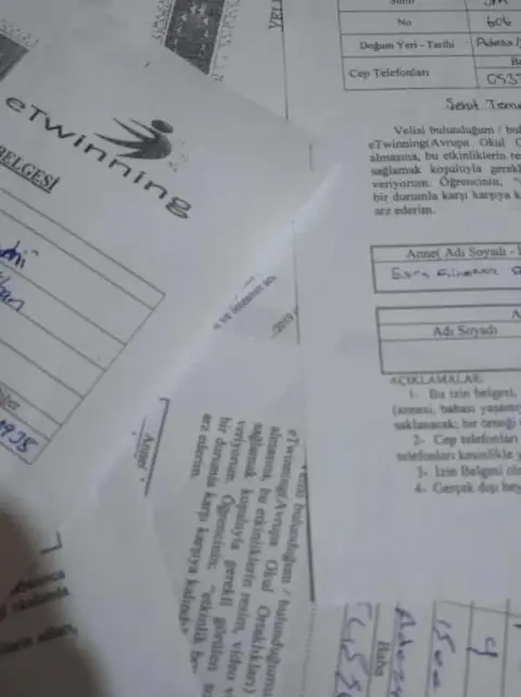 Şehit Temel Cingöz Anadolu Lisesi - eTwinning