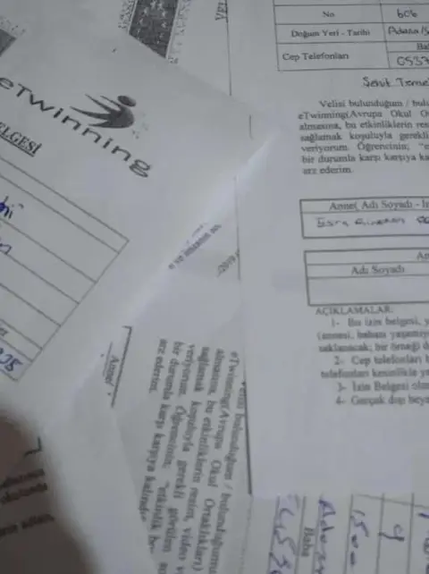 Şehit Temel Cingöz Anadolu Lisesi - eTwinning