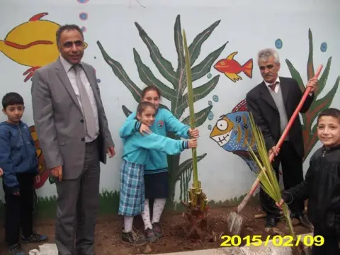 Anafartalar İlkokulu - bahçe ağaçlandırması