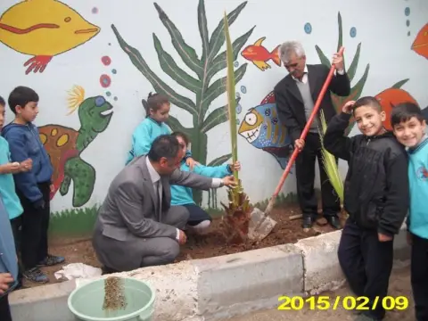 Anafartalar İlkokulu - bahçe ağaçlandırması
