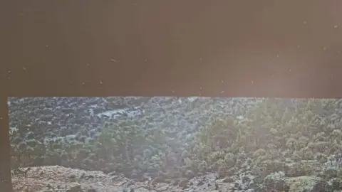 Gülbahçesi İlkokulu - Albüm