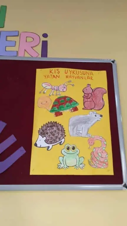 Ziya Gökalp İlkokulu - Etkinliklerimiz