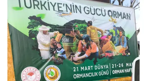 Sinanpaşa İlkokulu - Albüm