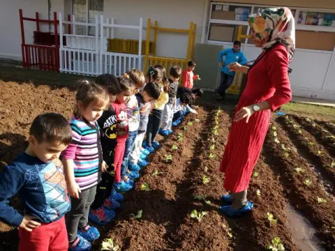 Şoför ve Otomobilciler Odası Anaokulu - Bahçemize Sebze Ekiyoruz