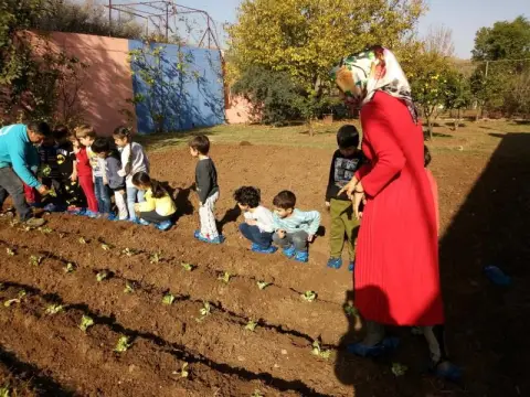 Şoför ve Otomobilciler Odası Anaokulu - Bahçemize Sebze Ekiyoruz