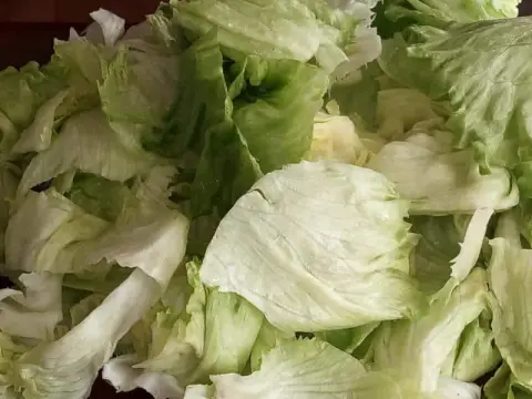 Şoför ve Otomobilciler Odası Anaokulu - Bahçemize Sebze Ekiyoruz
