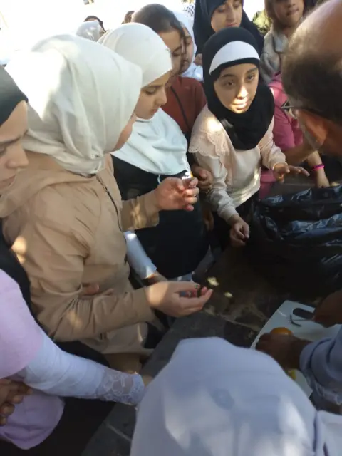 Tepebağ İmam Hatip Ortaokulu - portakal