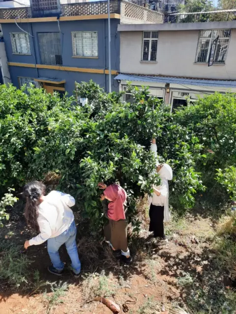 Tepebağ İmam Hatip Ortaokulu - portakal