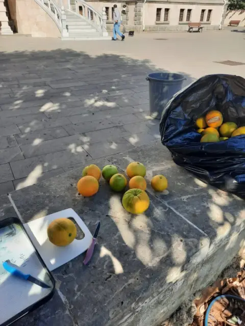 Tepebağ İmam Hatip Ortaokulu - portakal
