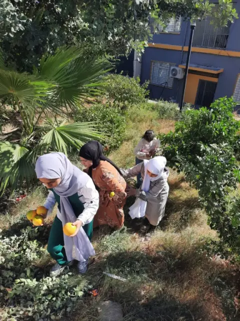 Tepebağ İmam Hatip Ortaokulu - portakal