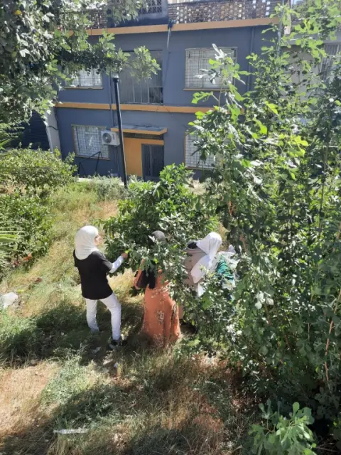 Tepebağ İmam Hatip Ortaokulu - portakal