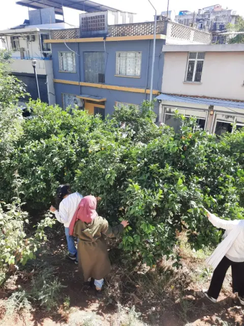 Tepebağ İmam Hatip Ortaokulu - portakal