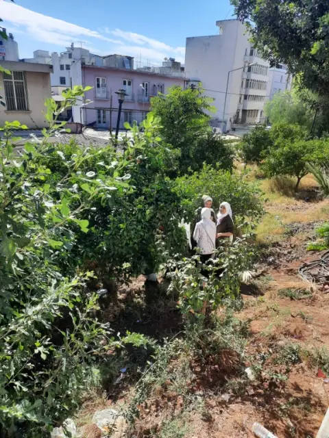 Tepebağ İmam Hatip Ortaokulu - portakal