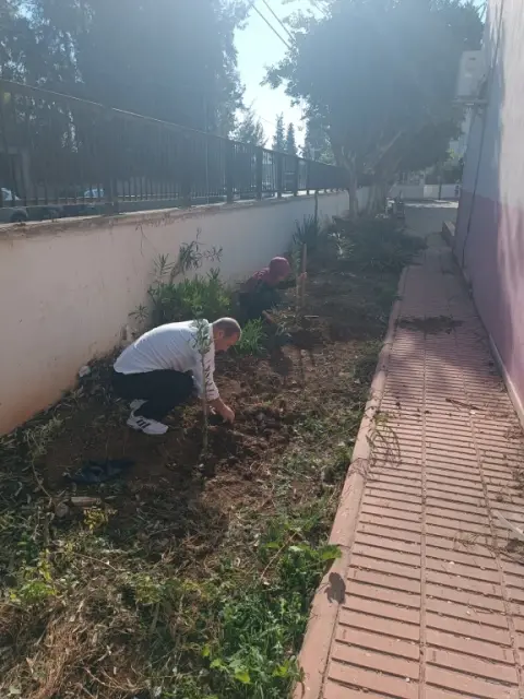 Zeytinli İlkokulu - Albüm