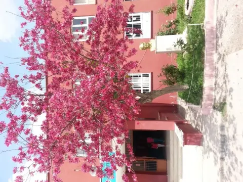 Zeytinli İlkokulu - OKULUMUZDAN GÖRÜNTÜLER